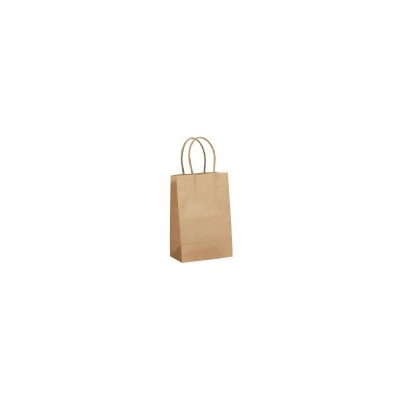 8" x 4-3/4" x 10-1/4" - Natural Kraft Shopping Bags - Petite 250 - 250 per case